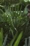 Nonton film Once Upon a Time Season 3 Episode 7 terbaru di Dutamovie21 Nonton film Once Upon a Time Season 3 Episode 7 terbaru di Dutamovie21