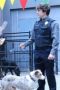Nonton film Animal Control Season 1 Episode 9 terbaru di Dutamovie21 Nonton film Animal Control Season 1 Episode 9 terbaru di Dutamovie21