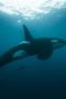 Nonton film Earthsounds Season 1 Episode 8 terbaru di Dutamovie21 Nonton film Earthsounds Season 1 Episode 8 terbaru di Dutamovie21