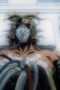 Nonton film My Hero Academia Season 4 Episode 7 terbaru di Dutamovie21 Nonton film My Hero Academia Season 4 Episode 7 terbaru di Dutamovie21