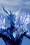 Nonton film Throne of Seal Season 1 Episode 106 terbaru di Dutamovie21 Nonton film Throne of Seal Season 1 Episode 106 terbaru di Dutamovie21