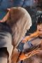 Nonton film Shrouding the Heavens Season 1 Episode 54 terbaru di Dutamovie21 Nonton film Shrouding the Heavens Season 1 Episode 54 terbaru di Dutamovie21