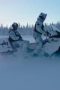 Nonton film Toughest Forces on Earth Season 1 Episode 3 terbaru di Dutamovie21