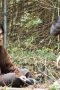 Nonton film ACMA:GAME Season 1 Episode 8 terbaru di Dutamovie21 Nonton film ACMA:GAME Season 1 Episode 8 terbaru di Dutamovie21