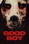 Nonton film Good Boy (2022) terbaru di Dutamovie21 Nonton film Good Boy (2022) terbaru di Dutamovie21