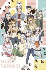 Nonton film Uchitama?! Have You Seen My Tama? (2020) terbaru di Dutamovie21 Nonton film Uchitama?! Have You Seen My Tama? (2020) terbaru di Dutamovie21