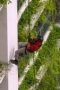 Nonton film The Mole Season 2 Episode 3 terbaru di Dutamovie21 Nonton film The Mole Season 2 Episode 3 terbaru di Dutamovie21