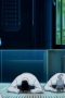 Nonton film Squid Girl Season 1 Episode 7 terbaru di Dutamovie21 Nonton film Squid Girl Season 1 Episode 7 terbaru di Dutamovie21