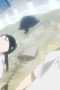 Nonton film Girls’ Last Tour Season 1 Episode 2 terbaru di Dutamovie21 Nonton film Girls’ Last Tour Season 1 Episode 2 terbaru di Dutamovie21