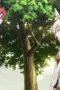 Nonton film Rokka: Braves of the Six Flowers Season 1 Episode 2 terbaru di Dutamovie21 Nonton film Rokka: Braves of the Six Flowers Season 1 Episode 2 terbaru di Dutamovie21