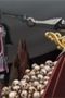 Nonton film Sengoku BASARA: Samurai Kings Season 1 Episode 4 terbaru di Dutamovie21 Nonton film Sengoku BASARA: Samurai Kings Season 1 Episode 4 terbaru di Dutamovie21