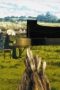 Nonton film The Piano Forest Season 2 Episode 4 terbaru di Dutamovie21 Nonton film The Piano Forest Season 2 Episode 4 terbaru di Dutamovie21