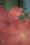 Nonton film Battle Girls: Time Paradox Season 1 Episode 6 terbaru di Dutamovie21 Nonton film Battle Girls: Time Paradox Season 1 Episode 6 terbaru di Dutamovie21