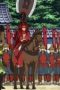 Nonton film Sengoku BASARA – End of Judgement Season 1 Episode 4 terbaru di Dutamovie21 Nonton film Sengoku BASARA – End of Judgement Season 1 Episode 4 terbaru di Dutamovie21