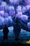 Nonton film YATAGARASU: The Raven Does Not Choose Its Master Season 1 Episode 20 terbaru di Dutamovie21 Nonton film YATAGARASU: The Raven Does Not Choose Its Master Season 1 Episode 20 terbaru di Dutamovie21