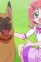 Nonton film Wonderful Precure! Season 1 Episode 35 terbaru di Dutamovie21 Nonton film Wonderful Precure! Season 1 Episode 35 terbaru di Dutamovie21