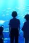 Nonton film TsumaSho Season 1 Episode 2 terbaru di Dutamovie21 Nonton film TsumaSho Season 1 Episode 2 terbaru di Dutamovie21