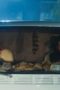 Nonton film Where’s Wanda? Season 1 Episode 7 terbaru di Dutamovie21 Nonton film Where’s Wanda? Season 1 Episode 7 terbaru di Dutamovie21