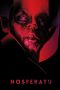 Nonton film Nosferatu: A Symphony of Horror (2023) terbaru di Dutamovie21 Nonton film Nosferatu: A Symphony of Horror (2023) terbaru di Dutamovie21
