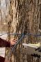 Nonton film The Sticky Season 1 Episode 1 terbaru di Dutamovie21 Nonton film The Sticky Season 1 Episode 1 terbaru di Dutamovie21