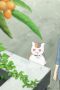 Nonton film Natsume Yujin-cho Season 7 Episode 9 terbaru di Dutamovie21 Nonton film Natsume Yujin-cho Season 7 Episode 9 terbaru di Dutamovie21