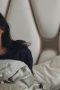 Nonton film The Recruit Season 2 Episode 3 terbaru di Dutamovie21 Nonton film The Recruit Season 2 Episode 3 terbaru di Dutamovie21