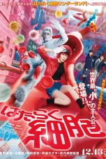 Nonton film Cells at Work! (2024) terbaru di Dutamovie21