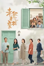 Nonton film Love Again (2025) terbaru di Dutamovie21