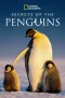 Nonton film Secrets of the Penguins (2025) terbaru di Dutamovie21 Nonton film Secrets of the Penguins (2025) terbaru di Dutamovie21